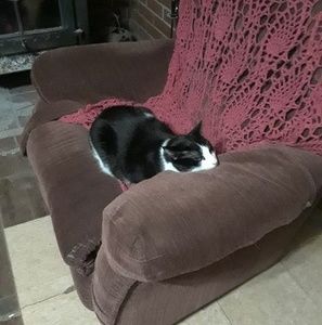 Meet your Posher, Peggy